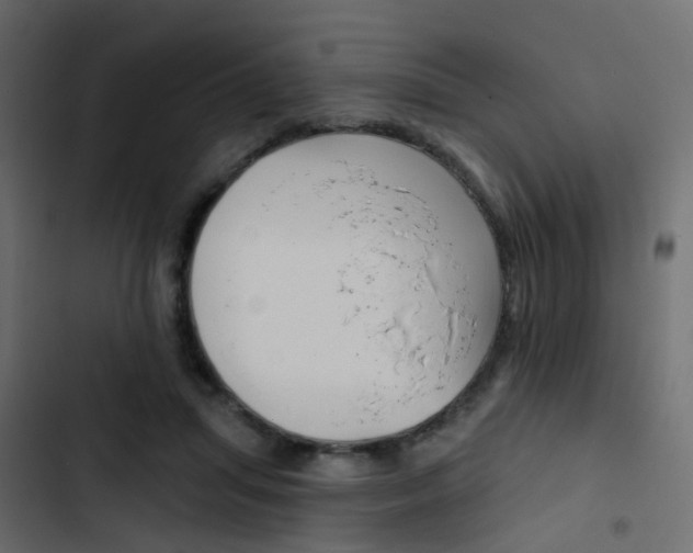 X0000103910455200809191123
