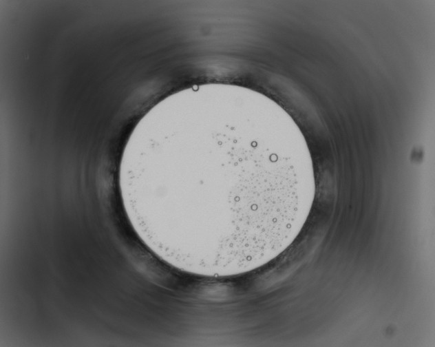 X0000103910456200809191123