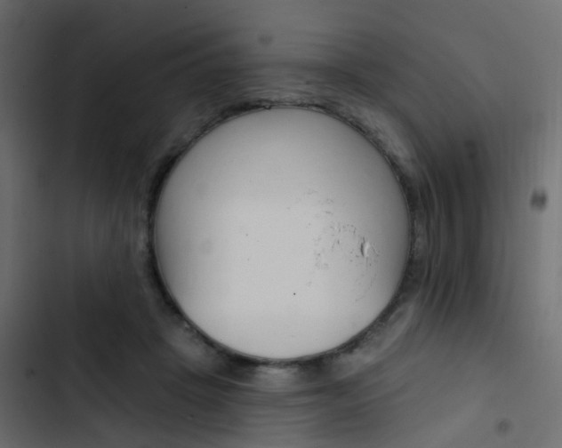 X0000103910457200809191123