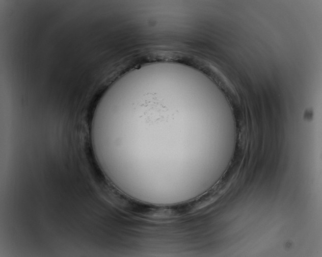 X0000103910459200809191123