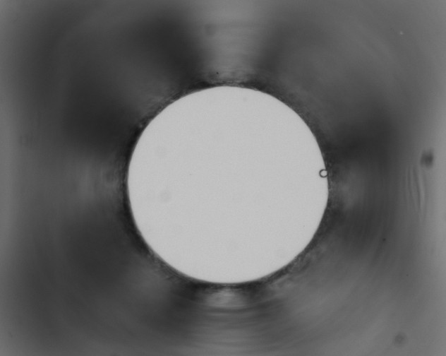 X0000103910460200809191123