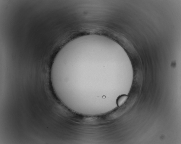 X0000103910461200809191123