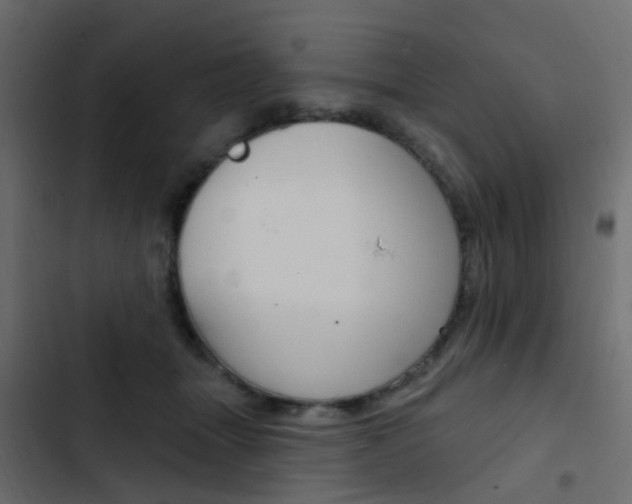 X0000103910463200809191123