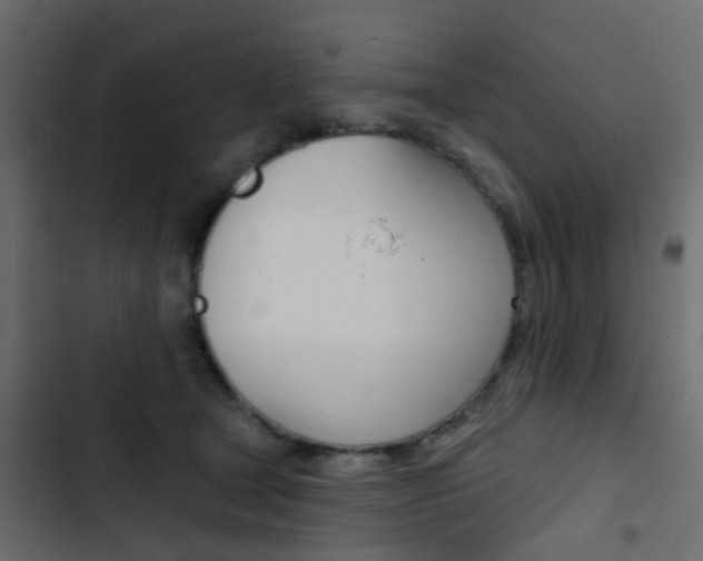 X0000103910465200809191123