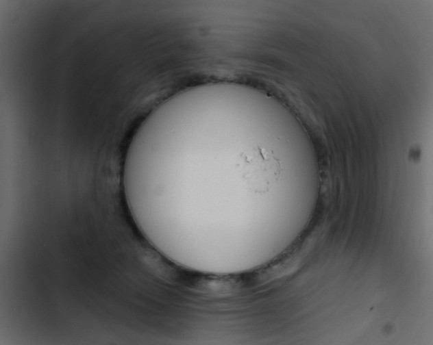 X0000103910466200809191123