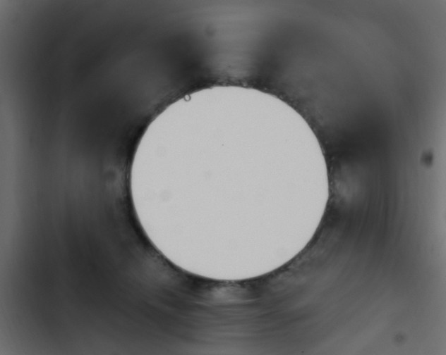 X0000103910468200809191123