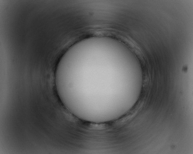 X0000103910469200809191123