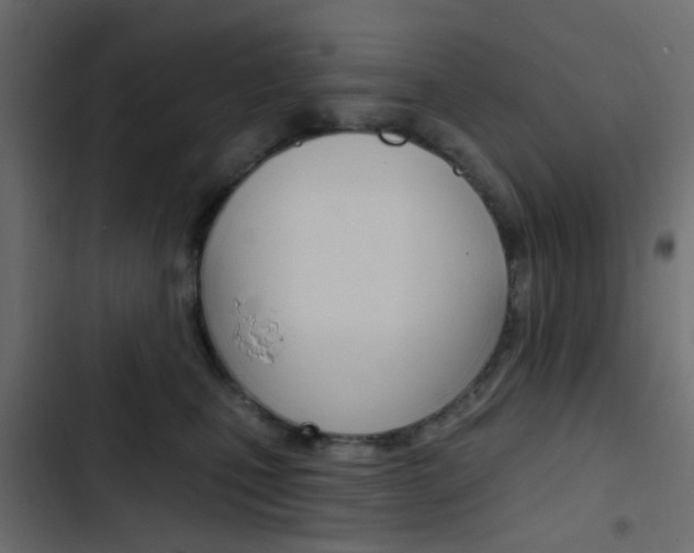 X0000103910471200809191123