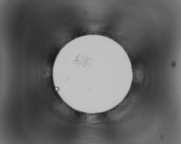 X0000103910472200809191123