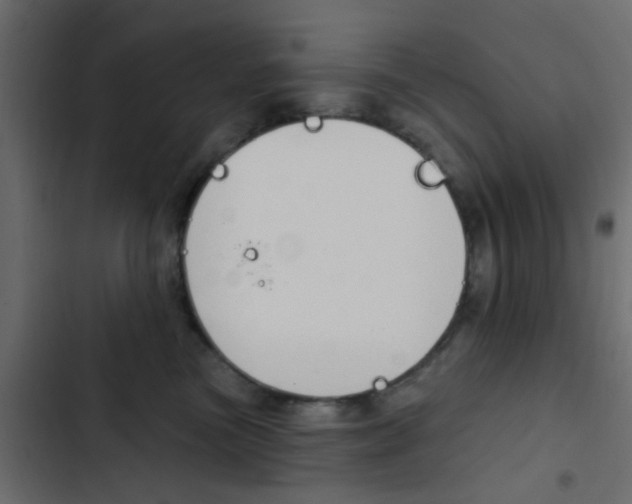 X0000103910473200809191124