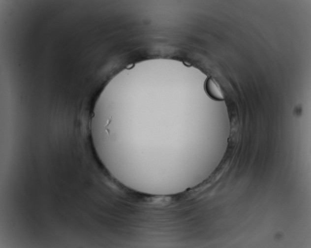 X0000103910474200809191124