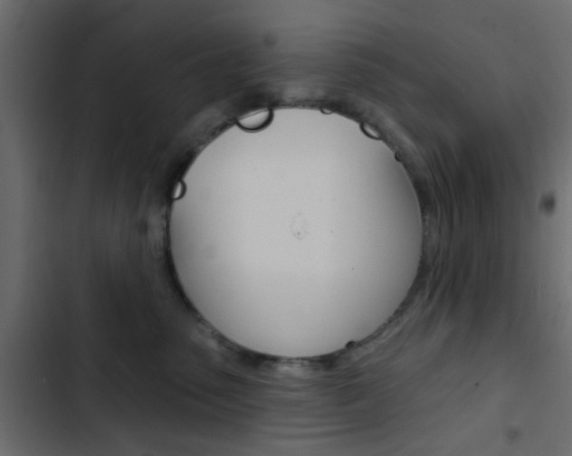 X0000103910475200809191124