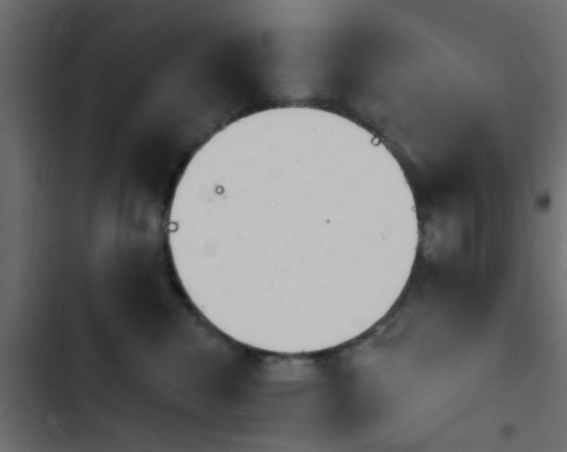 X0000103910476200809191124