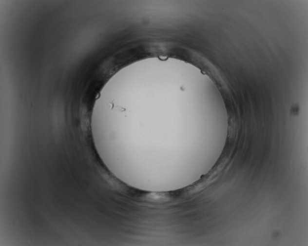 X0000103910477200809191124