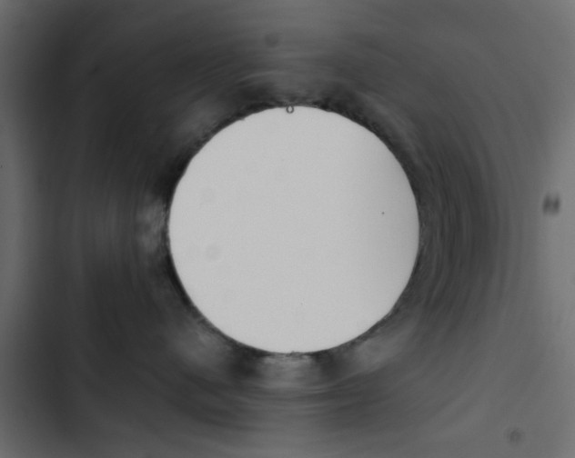 X0000103910480200809191124