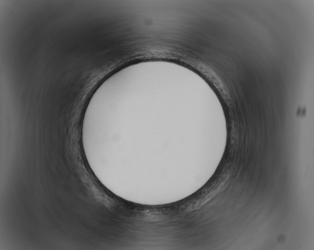 X0000103910481200809191123