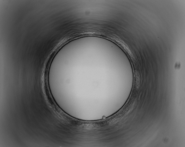 X0000103910482200809191123