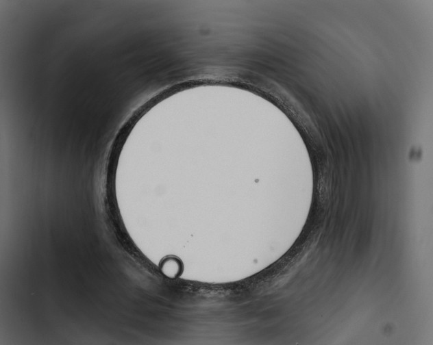 X0000103910484200809191123