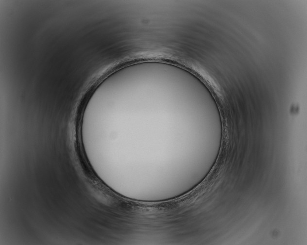 X0000103910486200809191123