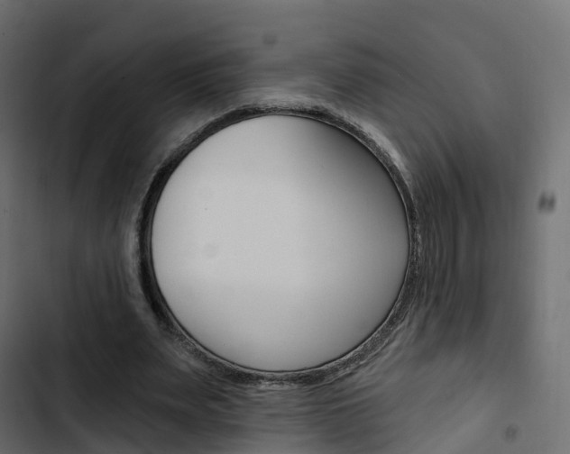 X0000103910487200809191123