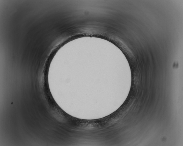 X0000103910488200809191123