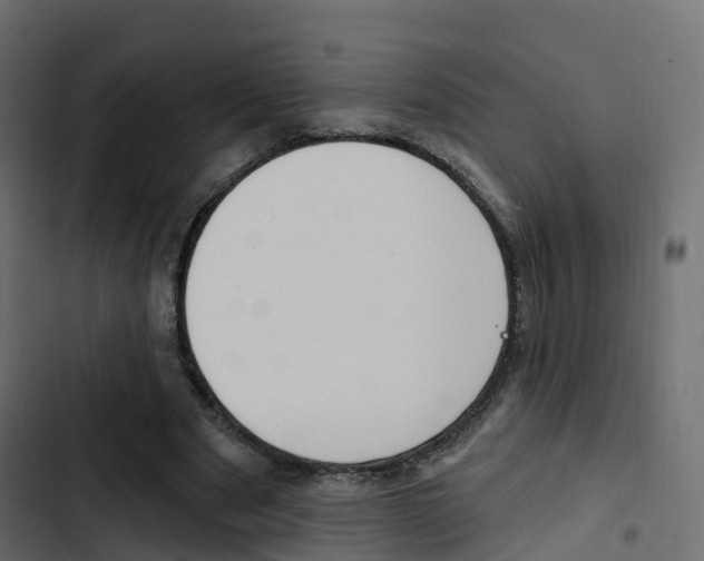 X0000103910489200809191122