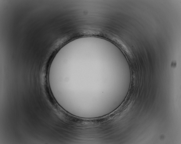 X0000103910490200809191122