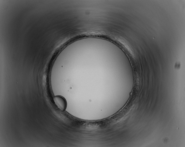 X0000103910491200809191122