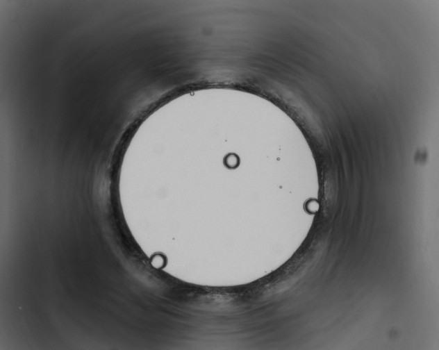 X0000103910492200809191122