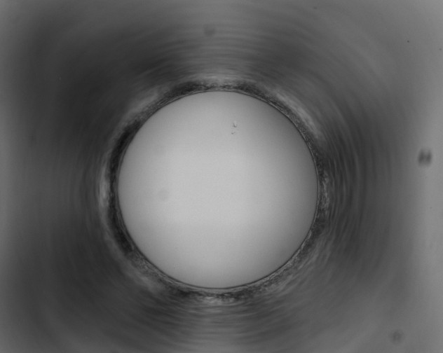 X0000103910494200809191122