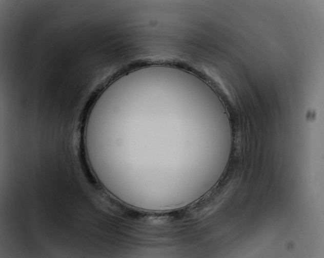 X0000103910495200809191122