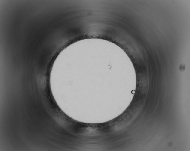 X0000103910496200809191122