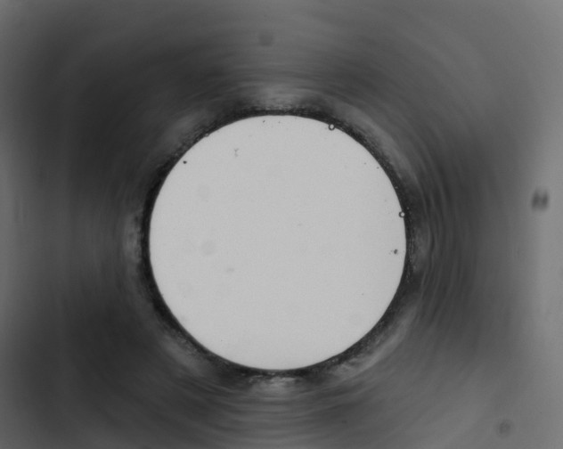 X0000103910497200809191122