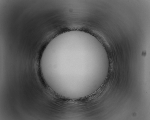 X0000103910498200809191122