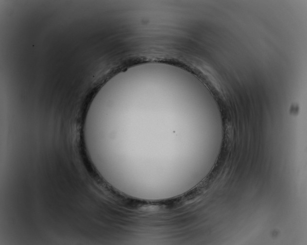 X0000103910499200809191122