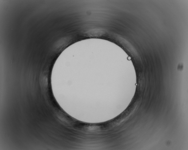 X0000103910501200809191122