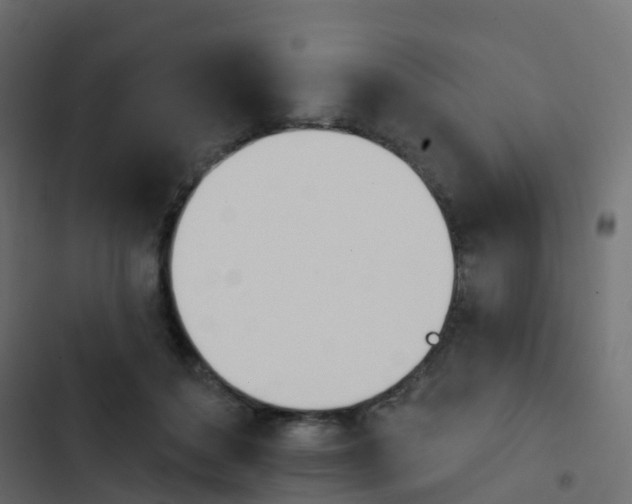 X0000103910504200809191122