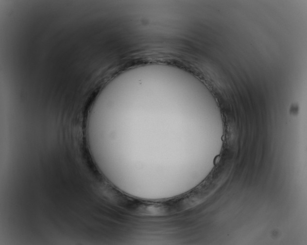 X0000103910506200809191122