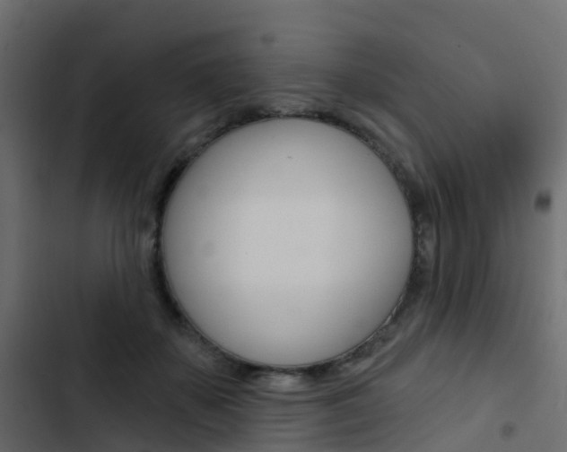 X0000103910507200809191122