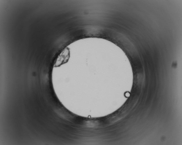 X0000103910508200809191122