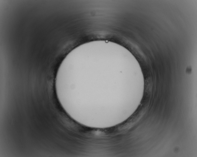 X0000103910509200809191122