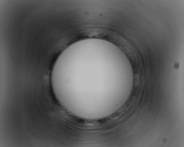 X0000103910510200809191122