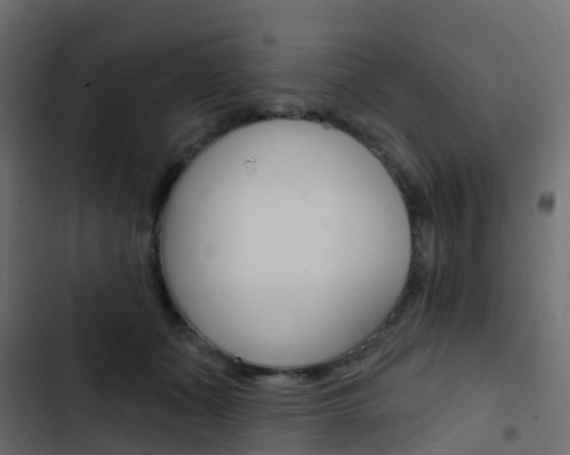 X0000103910511200809191122