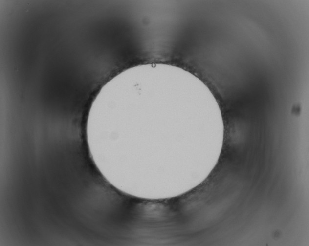 X0000103910512200809191122