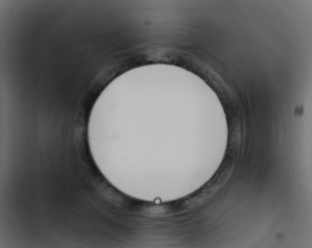 X0000103910513200809191122
