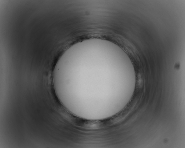X0000103910514200809191122