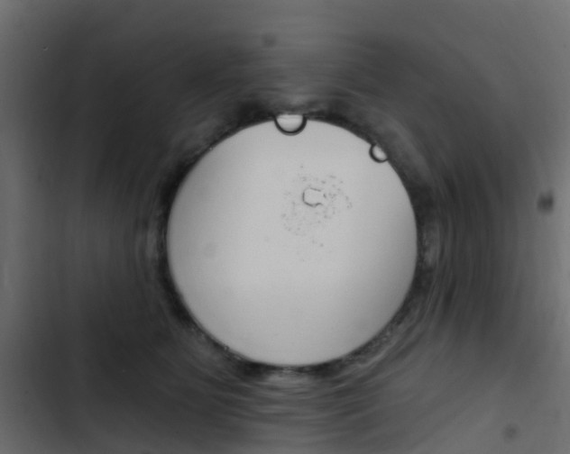 X0000103910515200809191122