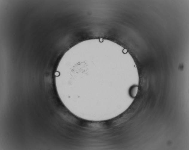 X0000103910516200809191122