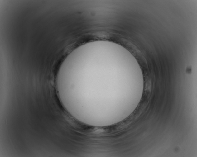 X0000103910518200809191122