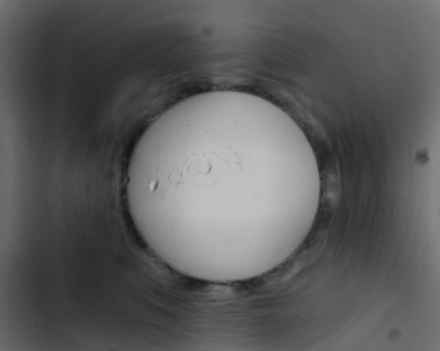 X0000103910519200809191122